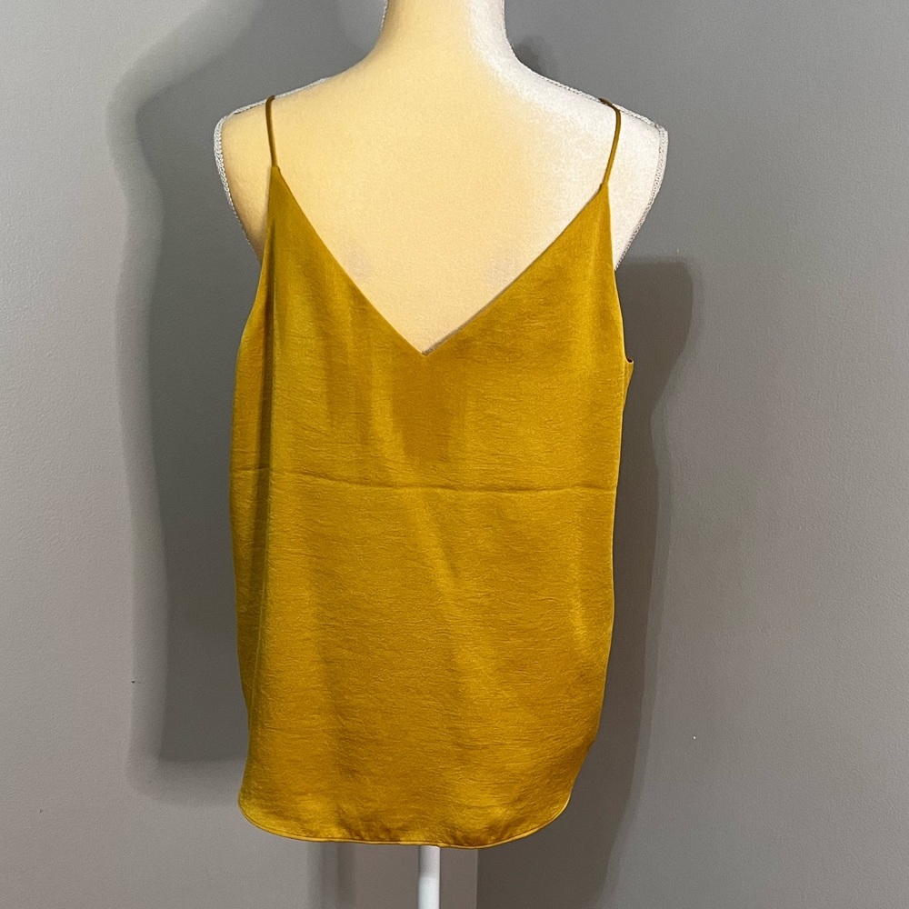 Express Satin V Neck Cami